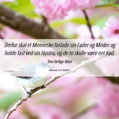 Picture 06 - Efeserne 5:31 DA1871 - Derfor skal et Menneske forlade sin Fader og - Bible Verse Picture