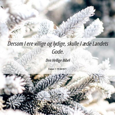 Picture 06 - Esajas 1:19 DA1871 - Dersom I ere villige og lydige, skulle I æde - Bible Verse Picture