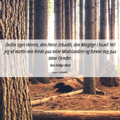 Picture 06 - Esajas 1:24 DA1871 - Derfor siger Herren, den Herre Zebaoth, den - Bible Verse Picture