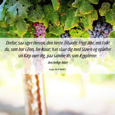 Picture 06 - Esajas 10:24 DA1871 - Derfor, saa siger Herren, den Herre Zebaoth: - Bible Verse Picture