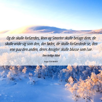 Picture 06 - Esajas 13:8 DA1871 - Og de skulle forfærdes, Veer og Smerter skulle - Bible Verse Picture