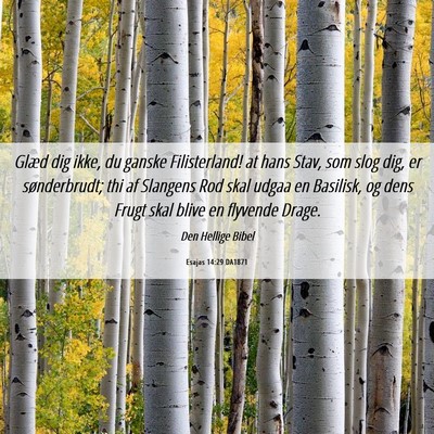 Picture 06 - Esajas 14:29 DA1871 - Glæd dig ikke, du ganske Filisterland! at hans - Bible Verse Picture
