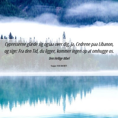Picture 06 - Esajas 14:8 DA1871 - Cypresserne glæde sig ogsaa over dig, ja, - Bible Verse Picture