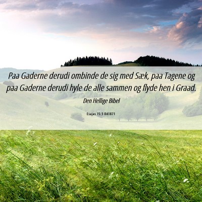 Picture 06 - Esajas 15:3 DA1871 - Paa Gaderne derudi ombinde de sig med Sæk, paa - Bible Verse Picture