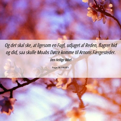 Picture 06 - Esajas 16:2 DA1871 - Og det skal ske, at ligesom en Fugl, udjaget af - Bible Verse Picture
