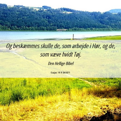 Picture 06 - Esajas 19:9 DA1871 - Og beskæmmes skulle de, som arbejde i Hør, og - Bible Verse Picture