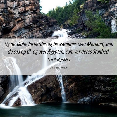 Picture 06 - Esajas 20:5 DA1871 - Og de skulle forfærdes og beskæmmes over - Bible Verse Picture