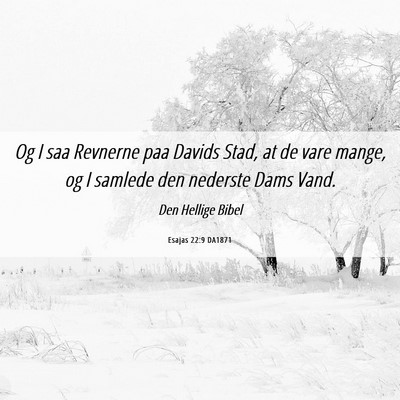 Picture 06 - Esajas 22:9 DA1871 - Og I saa Revnerne paa Davids Stad, at de vare - Bible Verse Picture