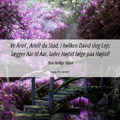 Picture 06 - Esajas 29:1 DA1871 - Ve Ariel , Ariel! du Stad, i hvilken David slog - Bible Verse Picture