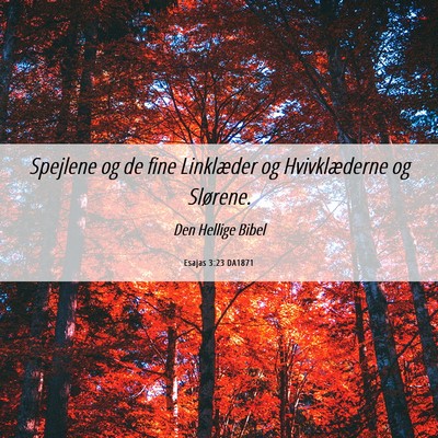 Picture 06 - Esajas 3:23 DA1871 - Spejlene og de fine Linklæder og Hvivklæderne - Bible Verse Picture