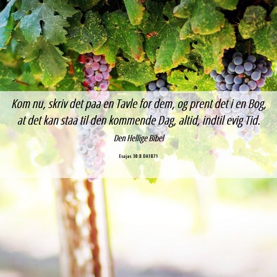 Picture 06 - Esajas 30:8 DA1871 - Kom nu, skriv det paa en Tavle for dem, og prent - Bible Verse Picture
