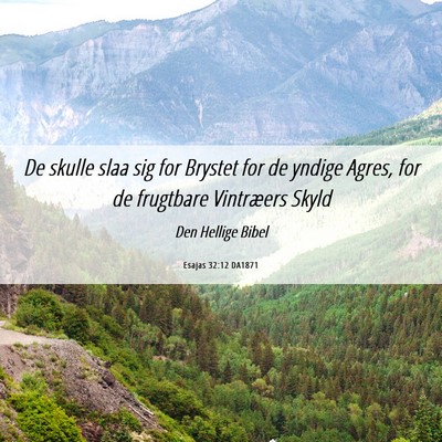 Picture 06 - Esajas 32:12 DA1871 - De skulle slaa sig for Brystet for de yndige - Bible Verse Picture