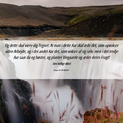 Picture 06 - Esajas 37:30 DA1871 - Og dette skal være dig Tegnet: At man i dette - Bible Verse Picture