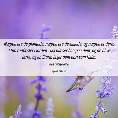 Picture 06 - Esajas 40:24 DA1871 - Næppe ere de plantede, næppe ere de saaede, og - Bible Verse Picture