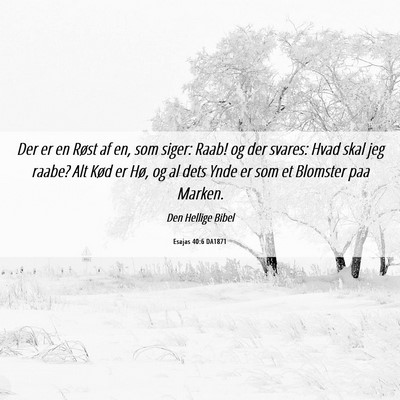 Picture 06 - Esajas 40:6 DA1871 - Der er en Røst af en, som siger: Raab! og der - Bible Verse Picture