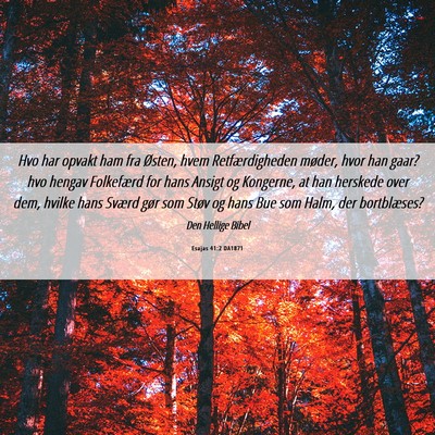 Picture 06 - Esajas 41:2 DA1871 - Hvo har opvakt ham fra Østen, hvem - Bible Verse Picture