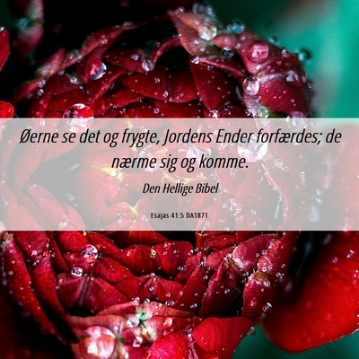 Picture 06 - Esajas 41:5 DA1871 - Øerne se det og frygte, Jordens Ender - Bible Verse Picture