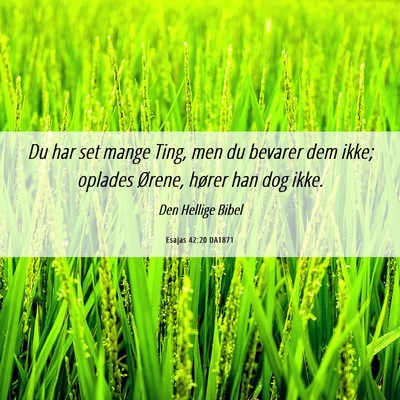 Picture 06 - Esajas 42:20 DA1871 - Du har set mange Ting, men du bevarer dem ikke; - Bible Verse Picture