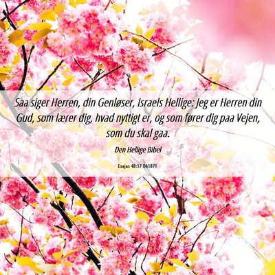 Picture 06 - Esajas 48:17 DA1871 - Saa siger Herren, din Genløser, Israels Hellige: - Bible Verse Picture