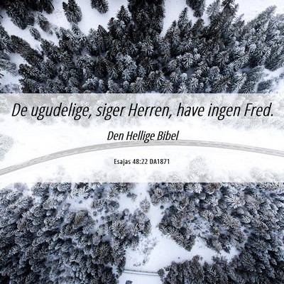 Picture 06 - Esajas 48:22 DA1871 - De ugudelige, siger Herren, have ingen - Bible Verse Picture