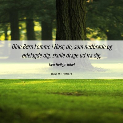 Picture 06 - Esajas 49:17 DA1871 - Dine Børn komme i Hast; de, som nedbrøde og - Bible Verse Picture