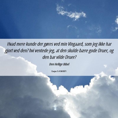 Picture 06 - Esajas 5:4 DA1871 - Hvad mere kunde der gøres ved min Vingaard, som - Bible Verse Picture