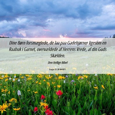 Picture 06 - Esajas 51:20 DA1871 - Dine Børn forsmægtede, de laa paa Gadehjørner - Bible Verse Picture