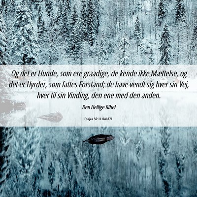 Picture 06 - Esajas 56:11 DA1871 - Og det er Hunde, som ere graadige, de kende ikke - Bible Verse Picture