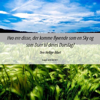 Picture 06 - Esajas 60:8 DA1871 - Hvo ere disse, der komme flyvende som en Sky og - Bible Verse Picture