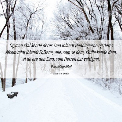 Picture 06 - Esajas 61:9 DA1871 - Og man skal kende deres Sæd iblandt Hedningerne - Bible Verse Picture