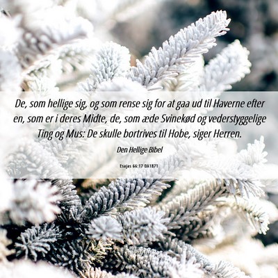 Picture 06 - Esajas 66:17 DA1871 - De, som hellige sig, og som rense sig for at gaa - Bible Verse Picture