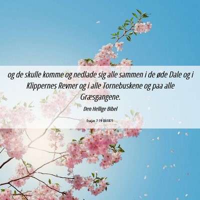 Picture 06 - Esajas 7:19 DA1871 - og de skulle komme og nedlade sig alle sammen i - Bible Verse Picture