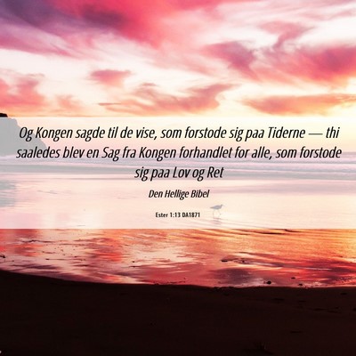 Picture 06 - Ester 1:13 DA1871 - Og Kongen sagde til de vise, som forstode sig paa - Bible Verse Picture