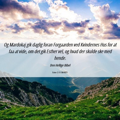 Picture 06 - Ester 2:11 DA1871 - Og Mardokaj gik daglig foran Forgaarden ved - Bible Verse Picture