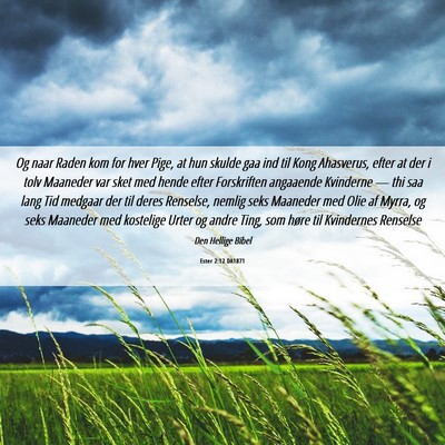 Picture 06 - Ester 2:12 DA1871 - Og naar Raden kom for hver Pige, at hun skulde - Bible Verse Picture