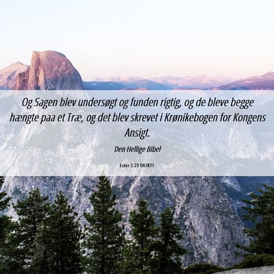 Picture 06 - Ester 2:23 DA1871 - Og Sagen blev undersøgt og funden rigtig, og de - Bible Verse Picture
