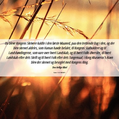 Picture 06 - Ester 3:12 DA1871 - Da bleve Kongens Skrivere kaldte i den første - Bible Verse Picture