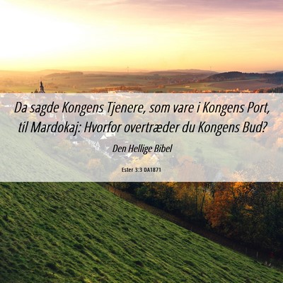 Picture 06 - Ester 3:3 DA1871 - Da sagde Kongens Tjenere, som vare i Kongens - Bible Verse Picture