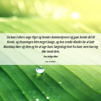 Picture 06 - Ester 4:4 DA1871 - Da kom Esthers unge Piger og hendes Kammertjenere - Bible Verse Picture