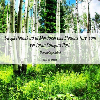 Picture 06 - Ester 4:6 DA1871 - Da gik Hathak ud til Mardokaj paa Stadens Torv, - Bible Verse Picture