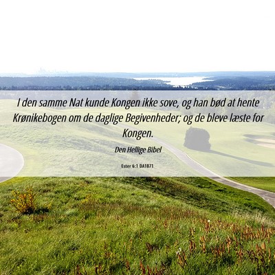 Picture 06 - Ester 6:1 DA1871 - I den samme Nat kunde Kongen ikke sove, og han - Bible Verse Picture