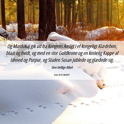 Picture 06 - Ester 8:15 DA1871 - Og Mardokaj gik ud fra Kongens Ansigt i et - Bible Verse Picture