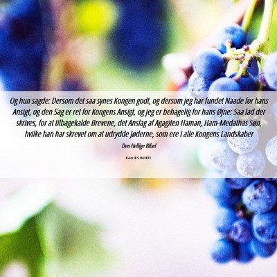 Picture 06 - Ester 8:5 DA1871 - Og hun sagde: Dersom det saa synes Kongen godt, - Bible Verse Picture