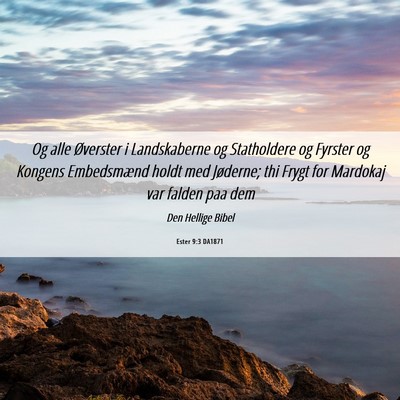 Picture 06 - Ester 9:3 DA1871 - Og alle Øverster i Landskaberne og Statholdere - Bible Verse Picture