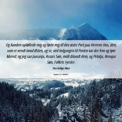 Picture 06 - Ezekiel 11:1 DA1871 - Og Aanden opløftede mig og førte mig til den - Bible Verse Picture