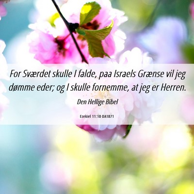 Picture 06 - Ezekiel 11:10 DA1871 - For Sværdet skulle I falde, paa Israels Grænse - Bible Verse Picture