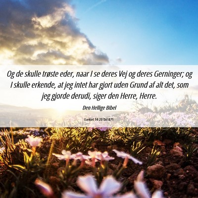 Picture 06 - Ezekiel 14:23 DA1871 - Og de skulle trøste eder, naar I se deres Vej og - Bible Verse Picture