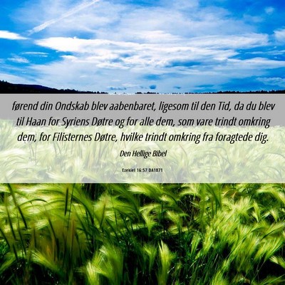 Picture 06 - Ezekiel 16:57 DA1871 - førend din Ondskab blev aabenbaret, ligesom til - Bible Verse Picture