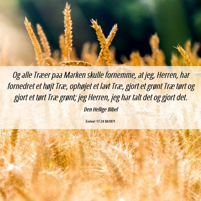 Picture 06 - Ezekiel 17:24 DA1871 - Og alle Træer paa Marken skulle fornemme, at - Bible Verse Picture