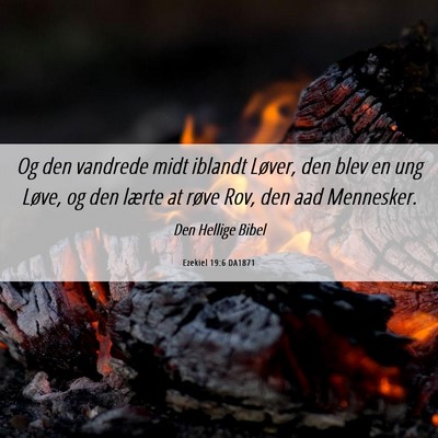Picture 06 - Ezekiel 19:6 DA1871 - Og den vandrede midt iblandt Løver, den blev en - Bible Verse Picture
